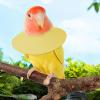 Elizabethan Collar - Suede Anti-Bite Collar for Birds view 4