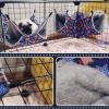 Hamster Hammock Bed and Climbing Toy for Small Pets view 4