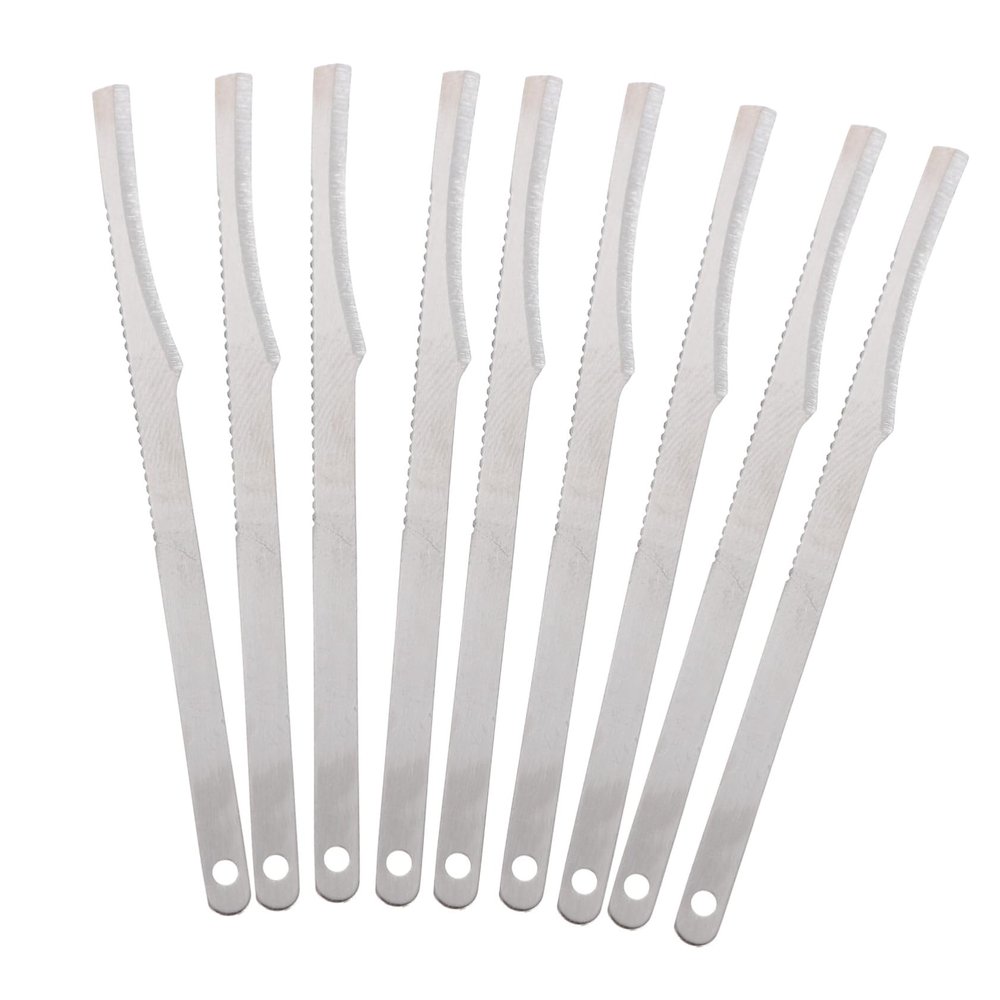 EPIGEIST 10-Piece Stainless Steel Pedicure Set for Hands and Feet