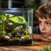 Floating Sun Platform for Reptile Aquariums view 2