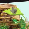 Floating Sun Platform for Reptile Aquariums view 3