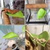 Floating Sun Platform for Reptile Aquariums view 4