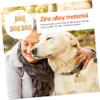 Mobestech Stainless Steel Engraved Pet ID Tag for Small Dogs and Cats view 3
