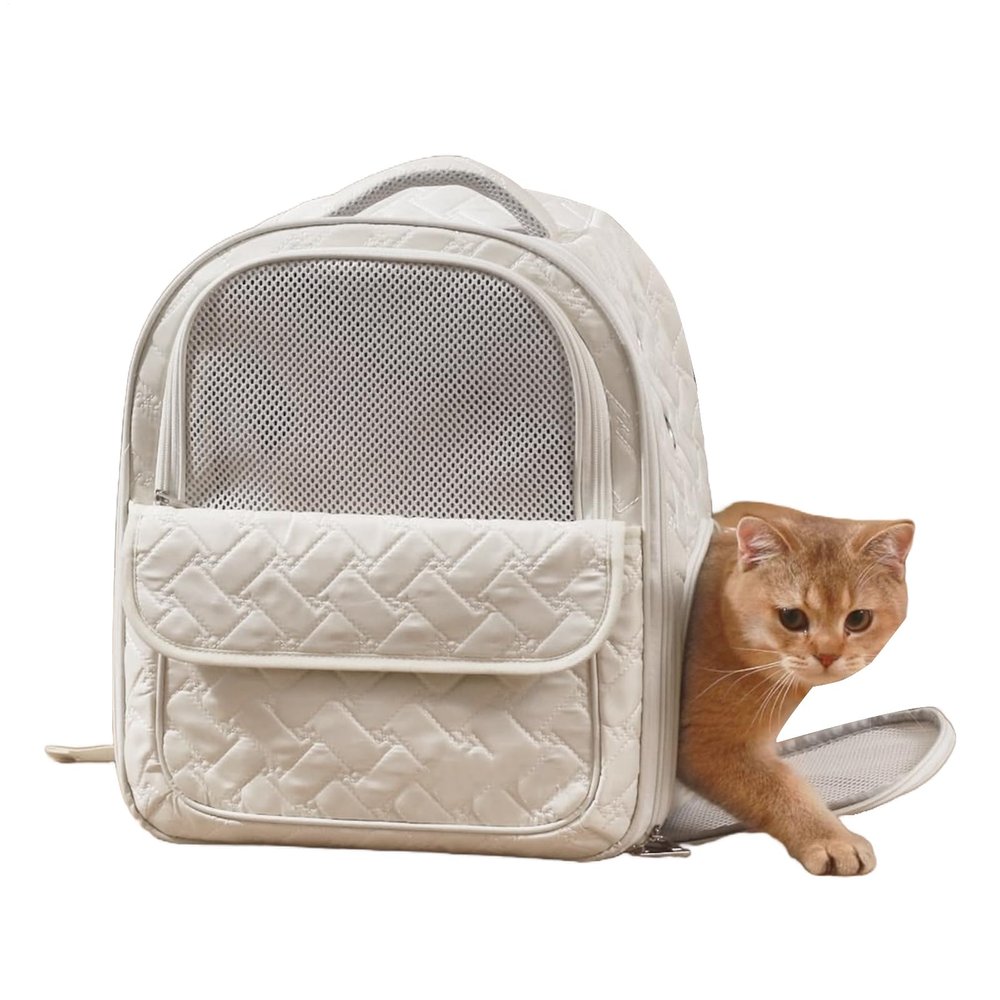 Portable Cat Carrier Handbag