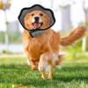 YRTUOP Soft Protective Collar for Dogs | Soft Alternative to Traditional Collars view 3