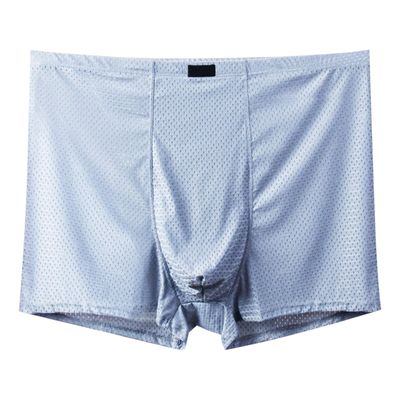 Men's Sheer Mesh Boxer Briefs