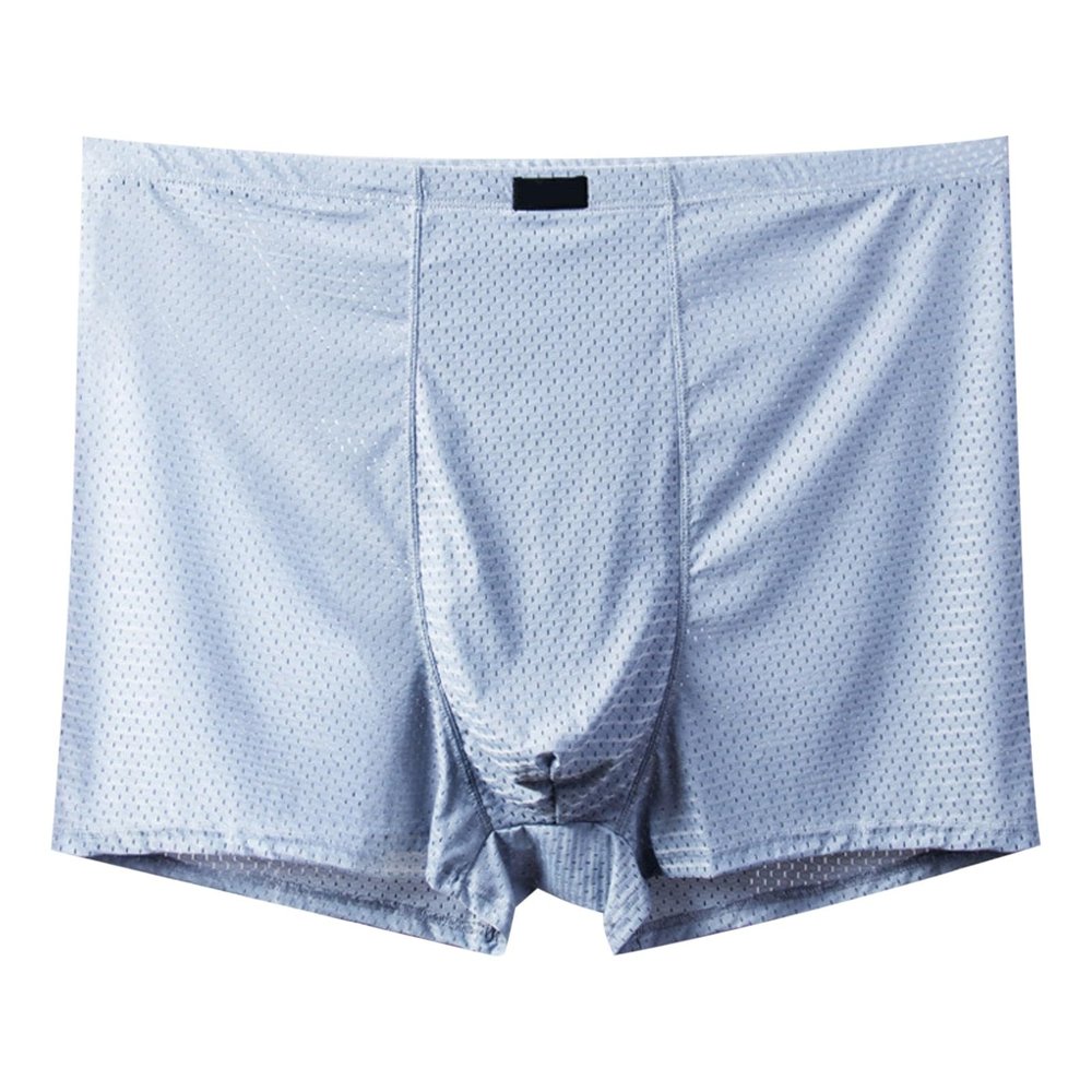 Men's Sheer Mesh Boxer Briefs