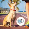 Retractable Outdoor Dog Leash with Brake and Lock view 2