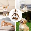 Dog Cape | Christmas Costume with Antlers view 4
