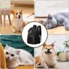 Generico Travel Backpack for Dogs, Portable Breathable, Foldable, Anti-Shock, with Wide Shoulder Straps view 3