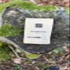 WALDGOLD Roasted Beech Nuts, 15 g view 3
