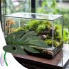 Penlimly Terrarium Decoration, Safe Amphibian Habitat Accessory view 3