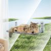 Cat Hammock with Suction Cups, Interactive Toy, Cordless, Glow-in-the-Dark view 3