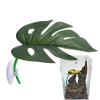Generic Reptile Decor | Artificial Leaf Plants for Terrariums view 1
