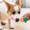 Generic Puppy Toy Example, Interactive Training Toy view 2