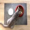 Dog & Cat Bowl Mat, Mandala Green-Turquoise, Premium Vinyl, 44 x 32 cm view 4