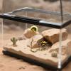 Hiding Decoration for Spring Spiders Terrarium view 2