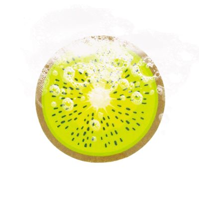 Zahoken Dish Sponge