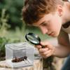 Spider Terrarium | Small Terrarium for Scientific Projects, Exhibitions, Camping, Home view 2