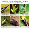 Spider Terrarium | Small Terrarium for Scientific Projects, Exhibitions, Camping, Home view 4