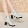 JXpxbao Women's Chunky-Heel Ankle Boots with Platform, Side Zipper, Beige-Warm, Size 39 view 3
