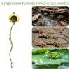 Duroecsain Spring Spider Hideout view 4