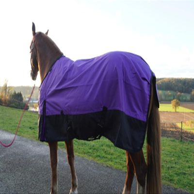 1200D Waterproof Horse Rain Sheet with Neck Cover, Violet, 165 cm