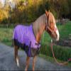 1200D Waterproof Horse Rain Sheet with Neck Cover, Violet, 165 cm view 2