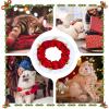 Christmas Dog Collar for Puppies view 4