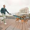 Dog Training Leash 65 x 26 cm view 2