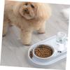 Mobestech Splash-Resistant Double Bowl for Dogs and Cats view 3