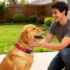 Reflective Adjustable Dog Collar view 2