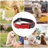 Reflective Adjustable Dog Collar view 4
