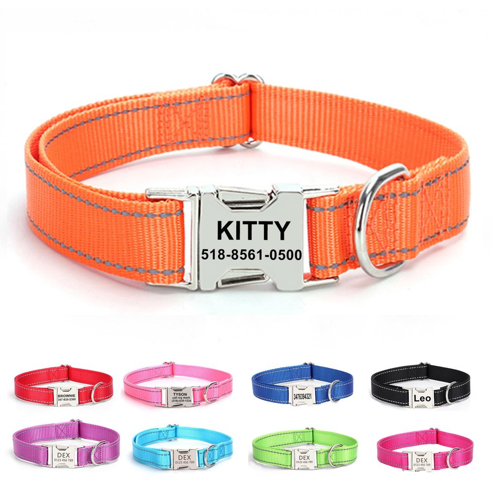 Personalized Reflective Dog Collar