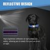 Personalized Reflective Dog Collar view 3