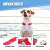 Personalized Reflective Dog Collar view 4