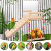 Multifunctional Bird Perch Stand view 2