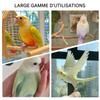 Multifunctional Bird Perch Stand view 4