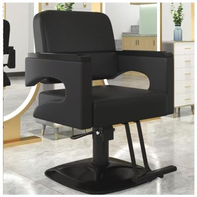 Hydraulic Barber Chair, 360° Swivel, Black, Industrial Style