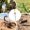 Hiding Place for Jumping Spiders view 4