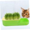 TOGEVAL Hydroponic Soilless Cat Grass Planter view 3