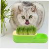 TOGEVAL Hydroponic Soilless Cat Grass Planter view 4