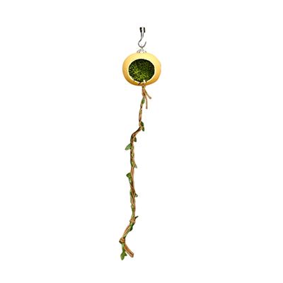 Hiding Decoration for Spring Spiders Terrarium