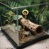 Hiding Decoration for Spring Spiders Terrarium view 2
