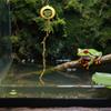 Hiding Decoration for Spring Spiders Terrarium view 3