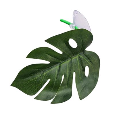 Generic Reptile-Safe Amphibian Habitat Terrarium Accessory