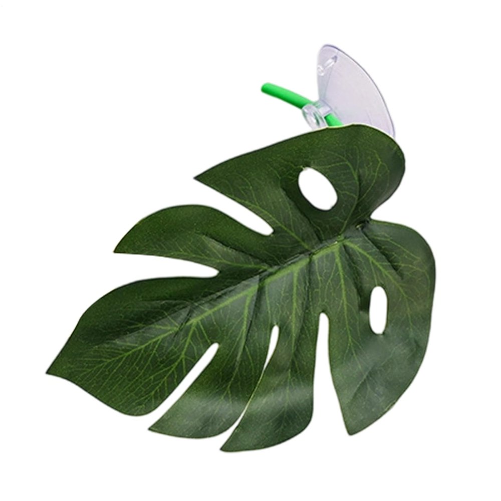 Generic Reptile-Safe Amphibian Habitat Terrarium Accessory