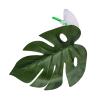 Generic Reptile-Safe Amphibian Habitat Terrarium Accessory view 1