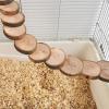 Vesidoloy Bird Cage Ladder view 2