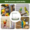 Sollee Parrot Bath, Water Fountain and Pond Accessory view 4